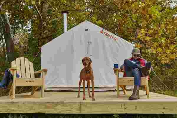 查看业主和他们的狗的Airbnb露营体验